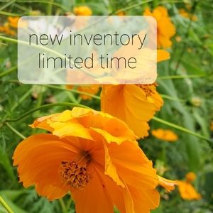 FLASH BATCH: NEW INVENTORY DROP